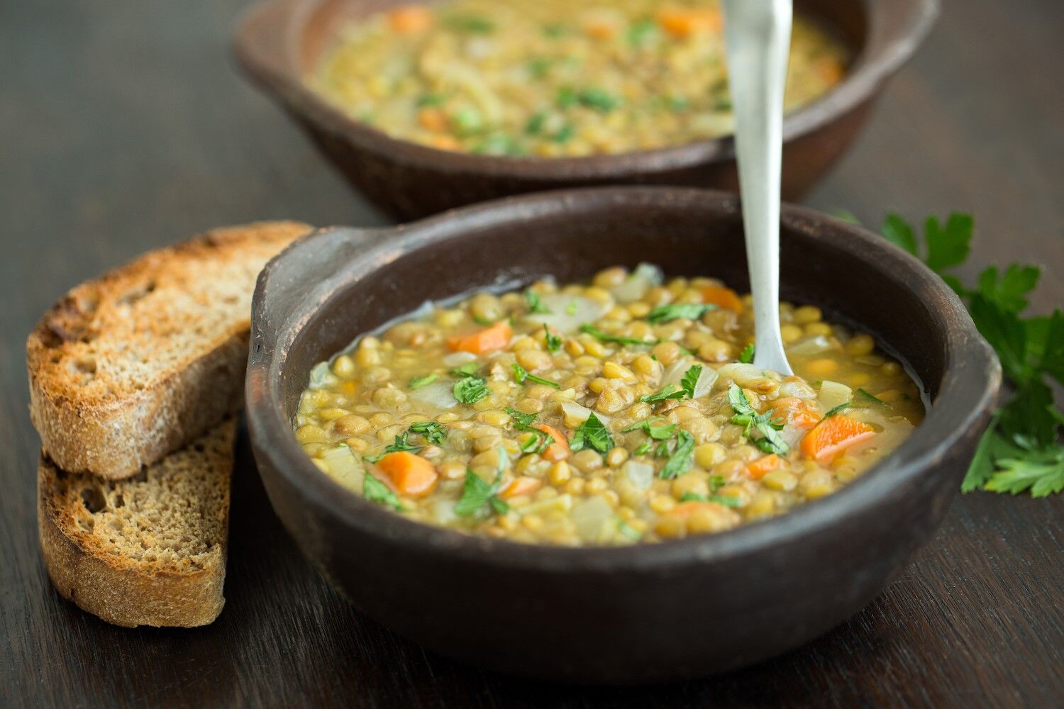 bowl of soup with toasted bread.jpg